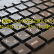 【実際に入力しながら覚えよう】基本的なUNIXコマンドについて紹介します