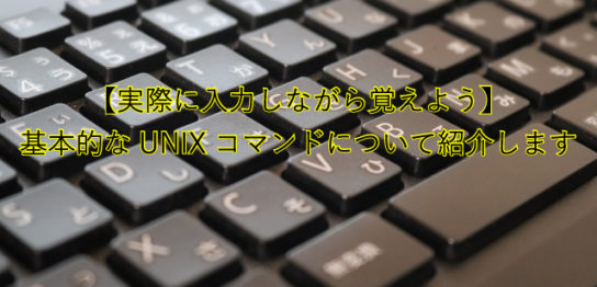 【実際に入力しながら覚えよう】基本的なUNIXコマンドについて紹介します