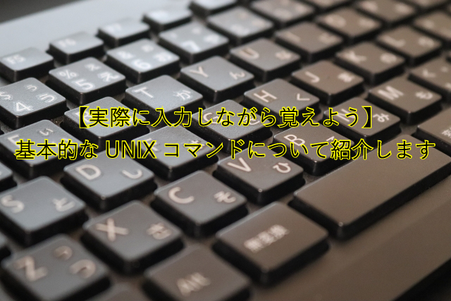 【実際に入力しながら覚えよう】基本的なUNIXコマンドについて紹介します